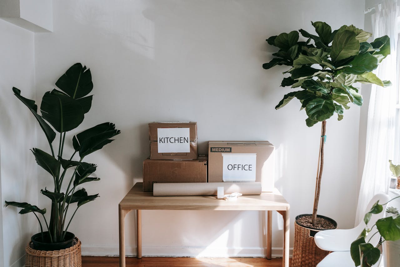 services-01 Stylish interior with moving boxes labeled Kitchen and Office on a wooden table surrounded by houseplants.